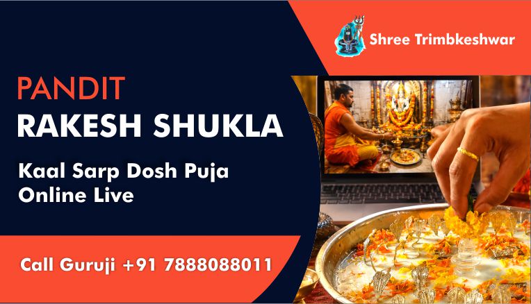 Kaal Sarp Dosh Puja Online Live